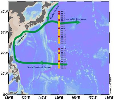 Stable carbon isotopes of dissolved inorganic carbon in the Western North Pacific Ocean: Proxy for water mixing and dynamics